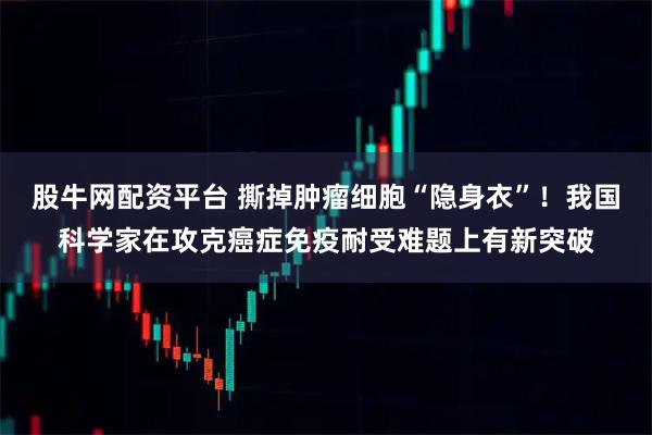 股牛網配資平臺 撕掉腫瘤細胞“隱身衣”！我國科學家在攻克癌癥免疫耐受難題上有新突破